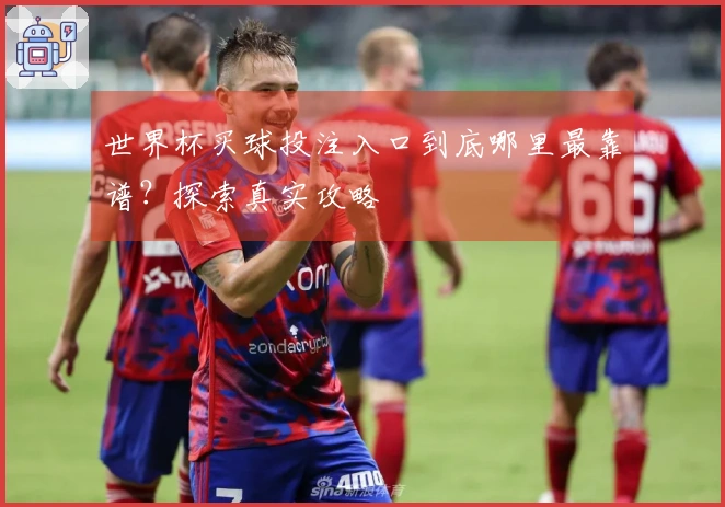 世界杯买球投注入口到底哪里最靠谱？探索真实攻略