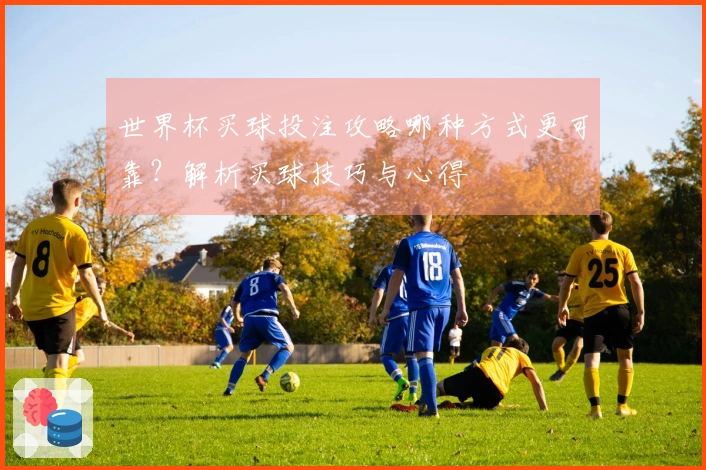 世界杯买球投注攻略哪种方式更可靠？解析买球技巧与心得