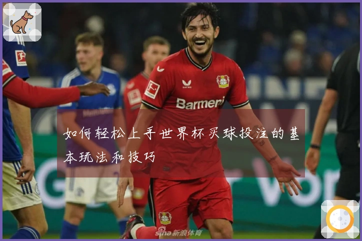 如何轻松上手世界杯买球投注的基本玩法和技巧
