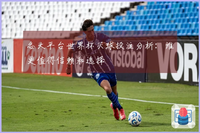 各大平台世界杯买球投注分析：谁更值得信赖和选择