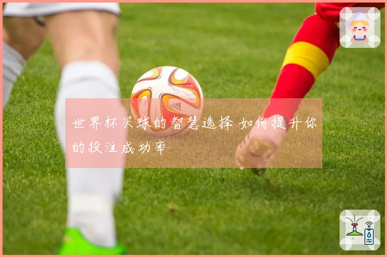 世界杯买球的智慧选择 如何提升你的投注成功率