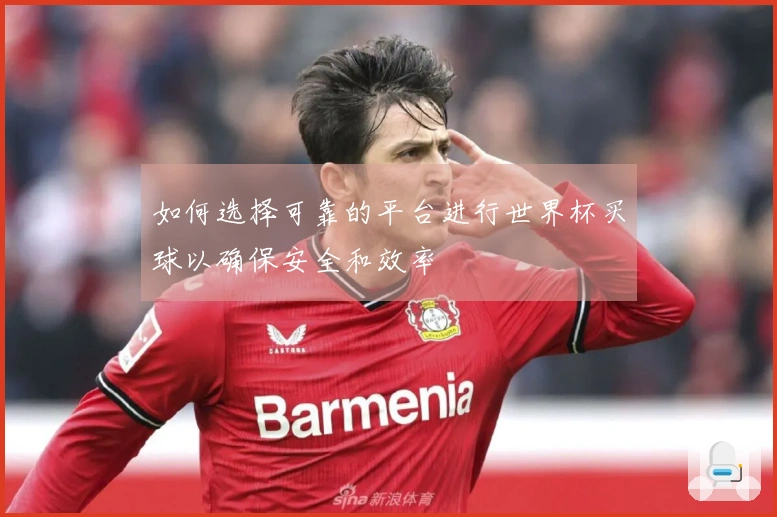 如何选择可靠的平台进行世界杯买球以确保安全和效率