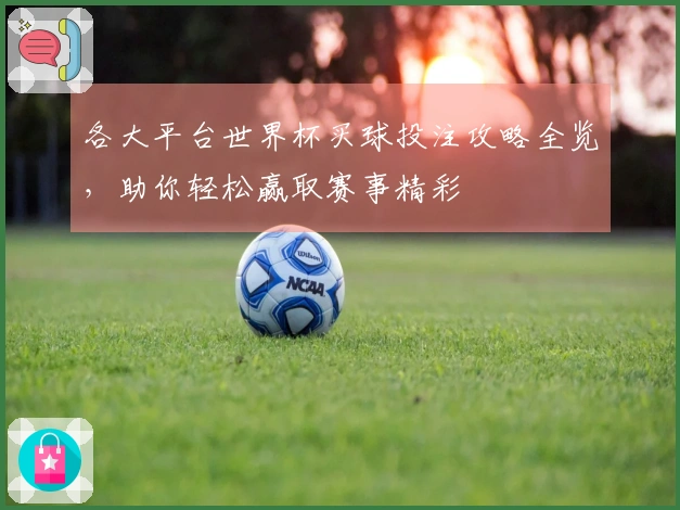 各大平台世界杯买球投注攻略全览，助你轻松赢取赛事精彩