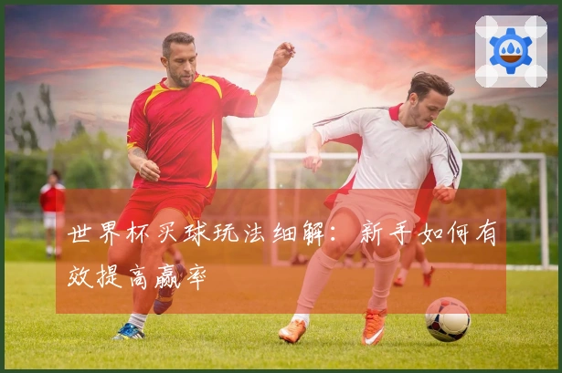 世界杯买球玩法细解：新手如何有效提高赢率