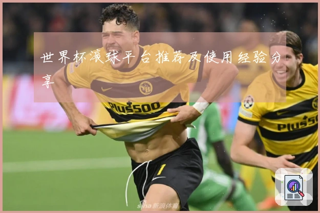 世界杯滚球平台推荐及使用经验分享