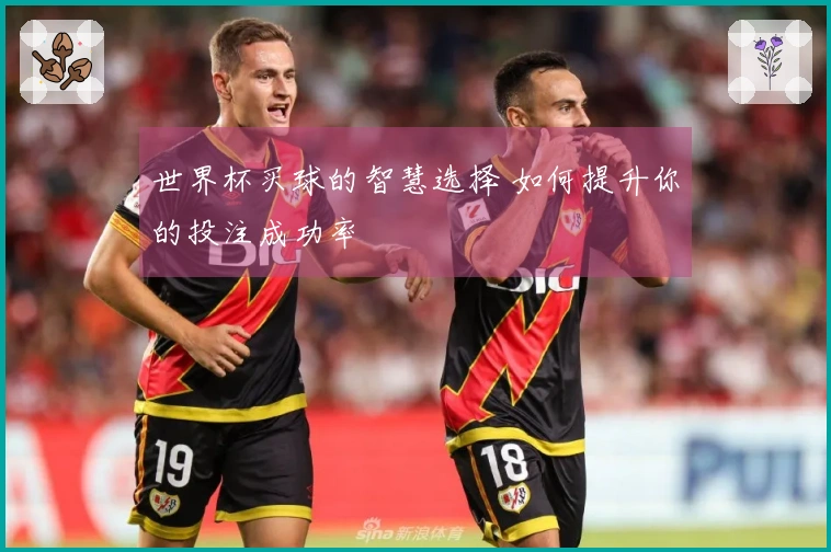 世界杯买球的智慧选择 如何提升你的投注成功率