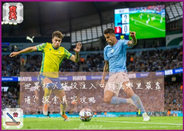 世界杯买球投注入口到底哪里最靠谱？探索真实攻略