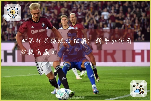 世界杯买球玩法细解：新手如何有效提高赢率